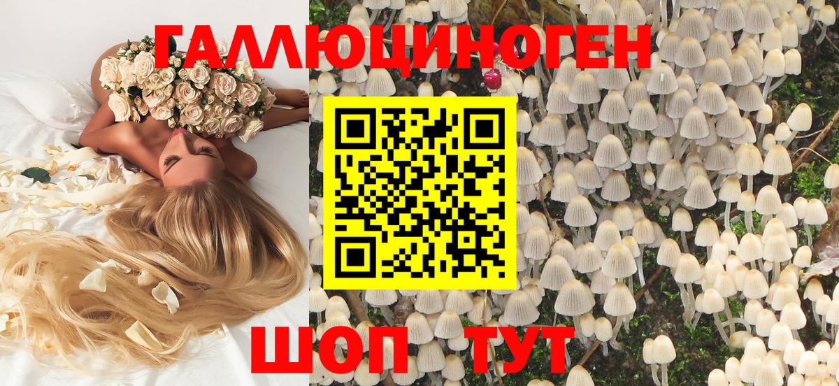 Азов  наркота  Псилоцибиновые грибы прущие грибы  Вход с VPN  Галлюциногенные грибы Psilocybine cubensis 