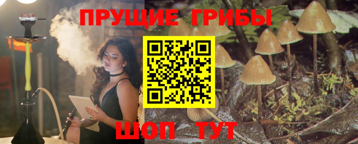 Галлюциногенные грибы Magic Shrooms Азов